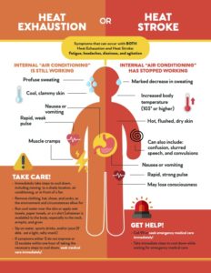 Heat Exhaustion vs Heat Stroke – Alabama Power | nourish